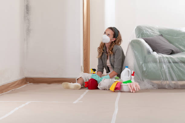 Reliable Black Mold Remediation contractor in Woodbine, MD by Car Mold Remediation